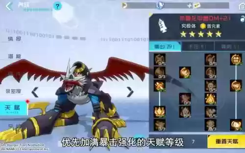 dm新阵容插图1
