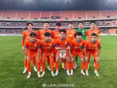 泰山足球阵容插图