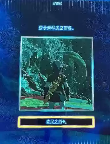 塞尔达武器拦升级怎么不在插图1