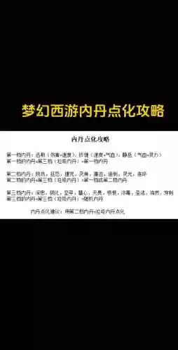 梦幻西游耐法内丹选择插图