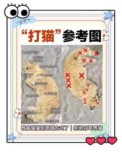 打倒猫咪阵容插图1