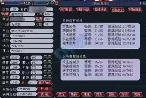梦幻西游129力五庄多少伤害插图