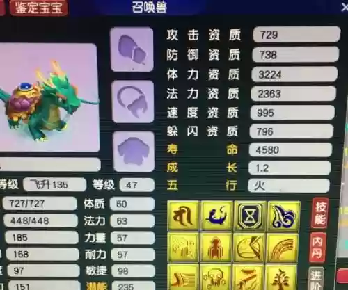 梦幻西游成群的携宝龙龟插图1