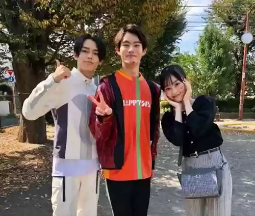 彩花阵容插图