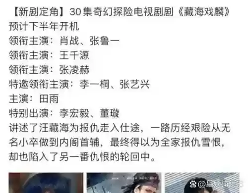 强大配角阵容插图