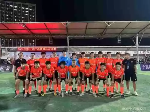 南宁队阵容插图1