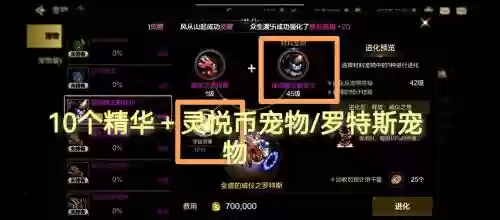 dnf18春节宠物装备插图