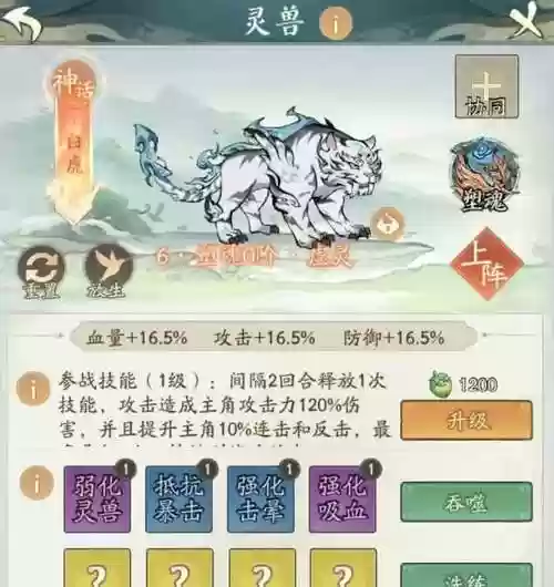 pvp白虎阵容插图1