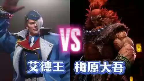 艾德滑阵容阵容图插图1