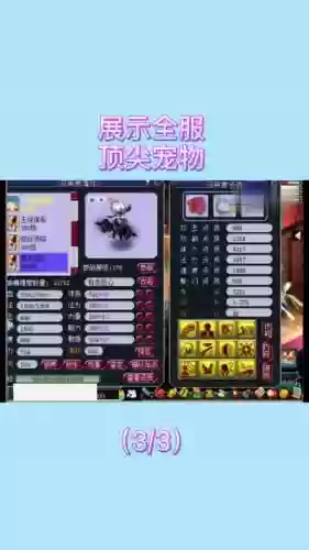 梦幻西游耐攻壁垒宝宝详解插图1