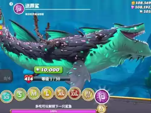 饥饿鲨装备什么幼鲨好插图