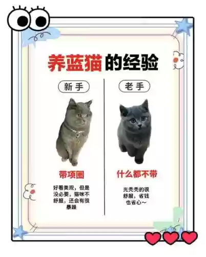 6.83蓝猫大型攻略插图