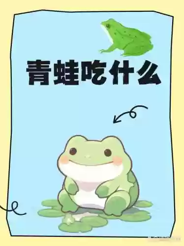 旅游青蛙攻略蜜蜂喜欢吃什么