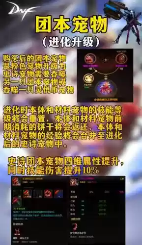 dnf90版本宠物装备插图1