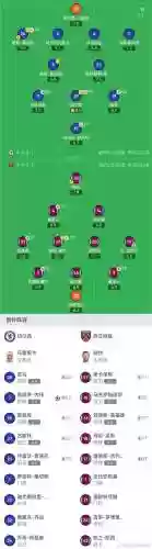 鹦鹉欧米茄阵容_1插图