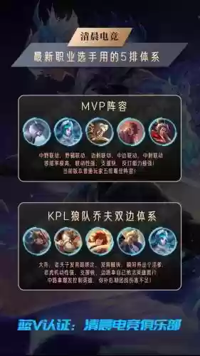 王者阵容分期插图1