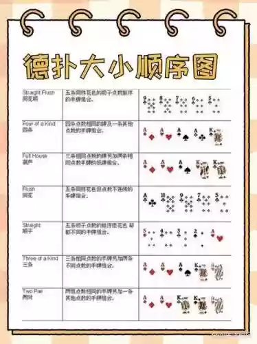 德州搭配阵容插图1