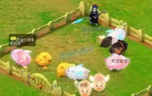 梦幻西游猪猪小侠是绝版祥瑞么插图