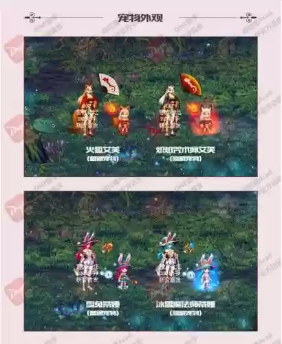 2018春节套的宠物装备插图