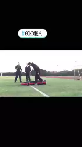 假人定阵容插图