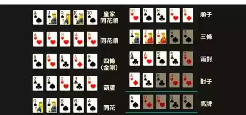 德州搭配阵容插图