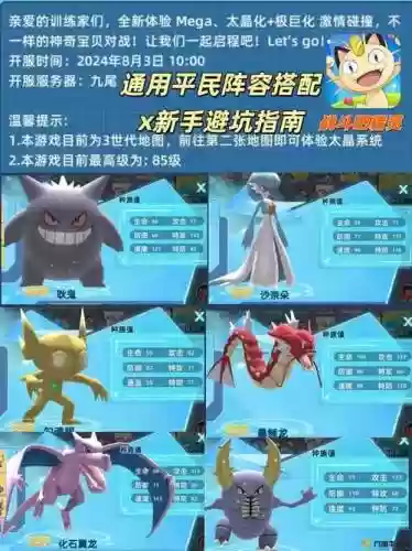 口袋pk阵容插图