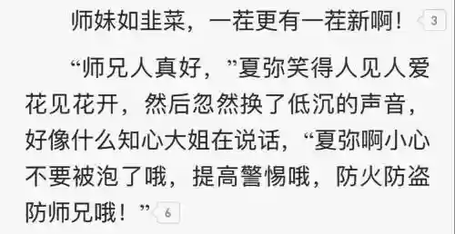 防师兄攻略插图1