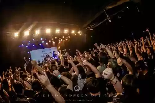 livehouse阵容插图1