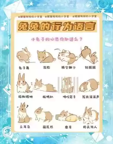 兔子有些什么技能插图