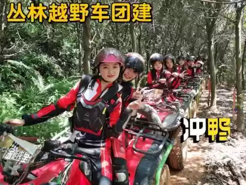 深圳丛林阵容插图