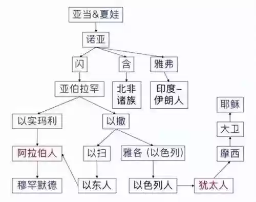 迦南的阵容插图1