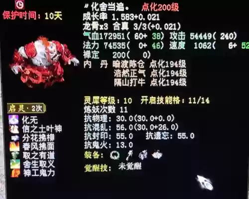 大话西游2冰人装备插图