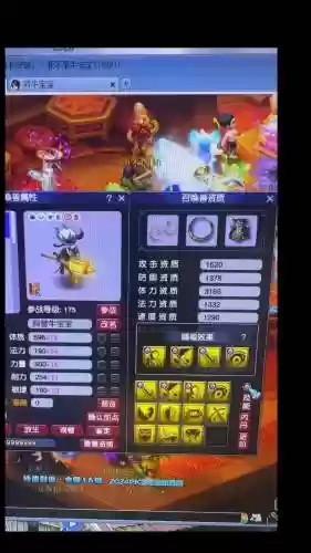梦幻西游攻是加力耐还是力体插图