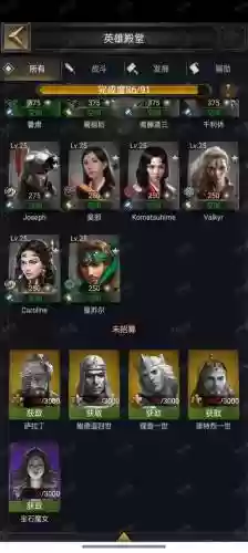 cok英雄装备插图1