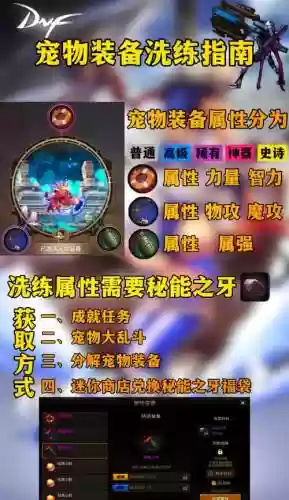 dnf90版本宠物装备插图