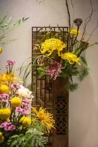 菊花阵容搭配插图1