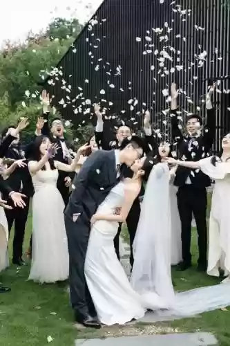 婚礼最大阵容插图1