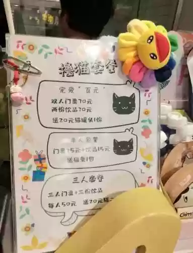 猫咖啡店喜好攻略_1插图1