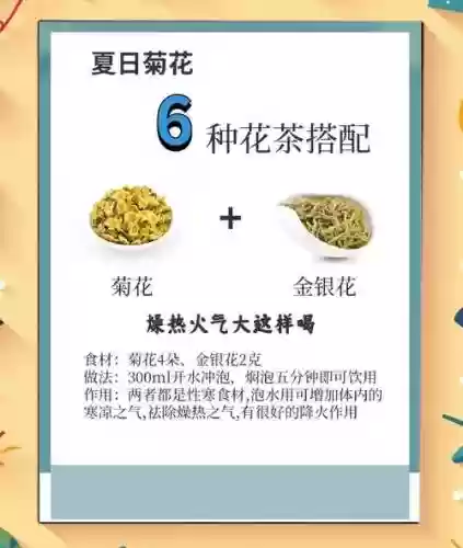 菊花阵容搭配插图