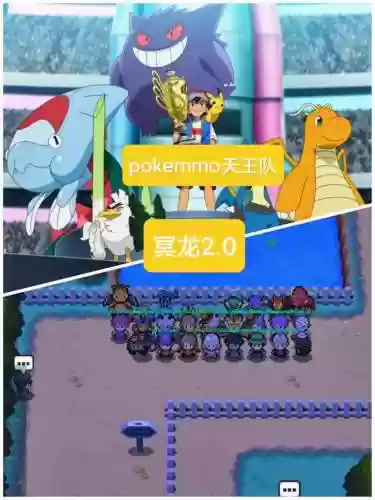 pokemmo队阵容插图1