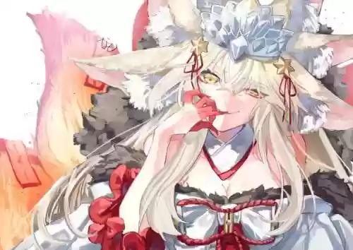 fgo狐狸阵容插图1