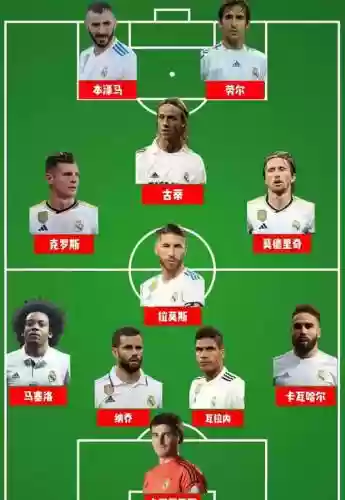 马哥阵容插图1