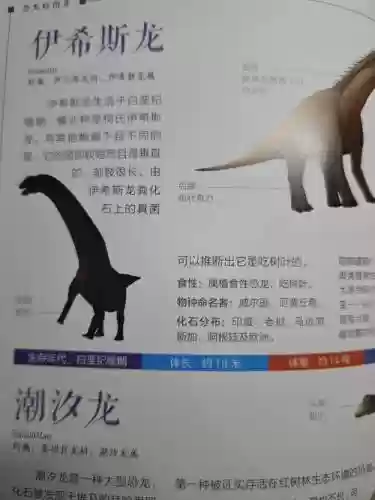 恐龙阵容编码插图1