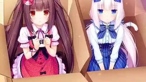nekopara攻略插图1