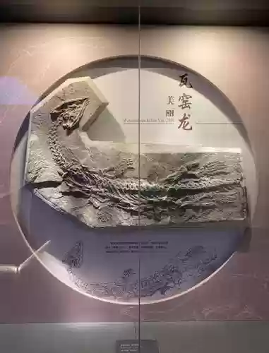 考古化石龙攻略插图1