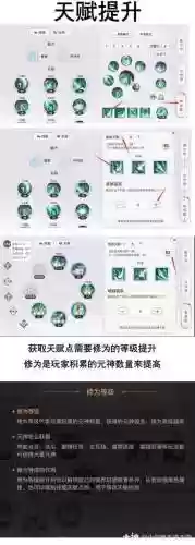 怎么看天谕技能中高级_1插图1