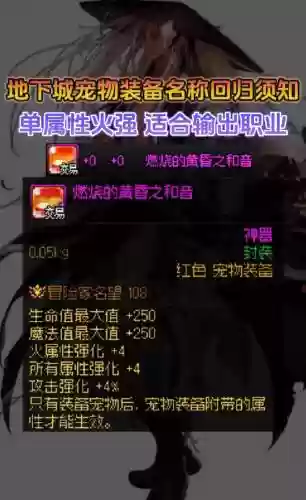 dnf什么宠物装备加命中插图