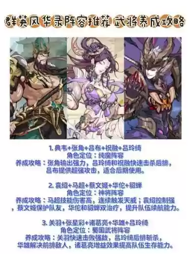 华佗孙坚阵容搭配