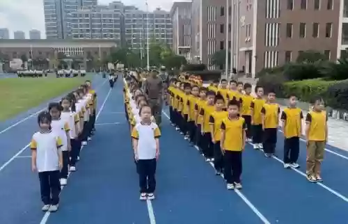 阵容训练年级插图