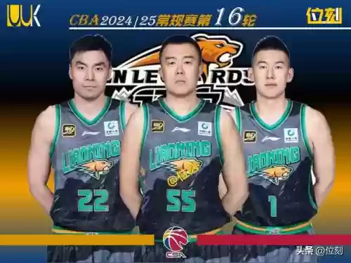 沈阳籍阵容插图